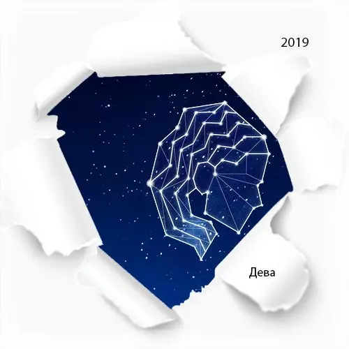 Гороскоп по знакам зодиака на год Свиньи 2019: описание