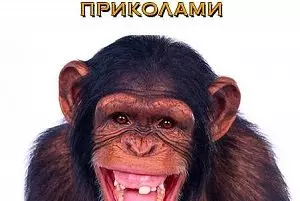 Тосты на Новый год 2016 для корпоратива прикольные