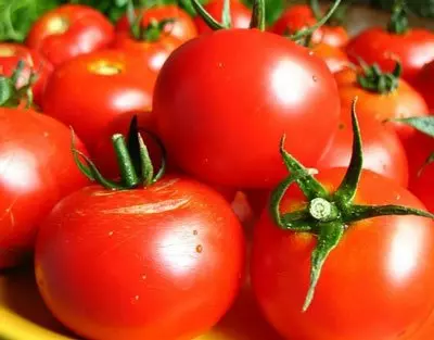 Когда сажать помидоры на рассаду в 2016 году?