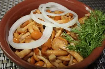 Маринованные опята: самый вкусный рецепт